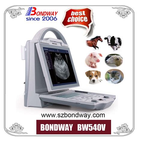 China Cow Pregnancy Test Portable Ultrasound Scanner
