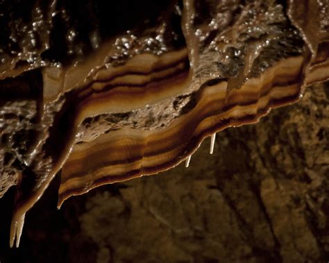 Cave Bacon Photograph By Jason Turuc Pixels