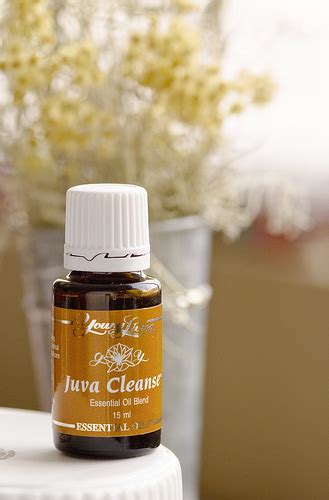 Young living juva cleanse 15ml. Cleanse and Detoxify Your Body with Essential Oils