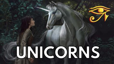Unicorns The Paragon Of Purity Youtube