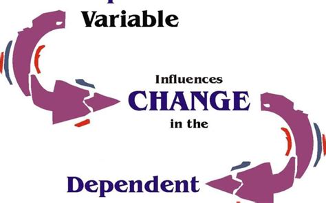 What do you mean by independent and Dependent Variables? | i2tutorials