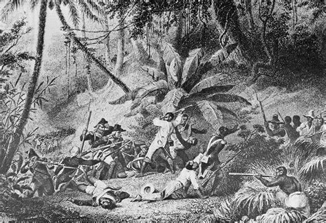 From wikimedia commons, the free media repository. The Haitian Revolution