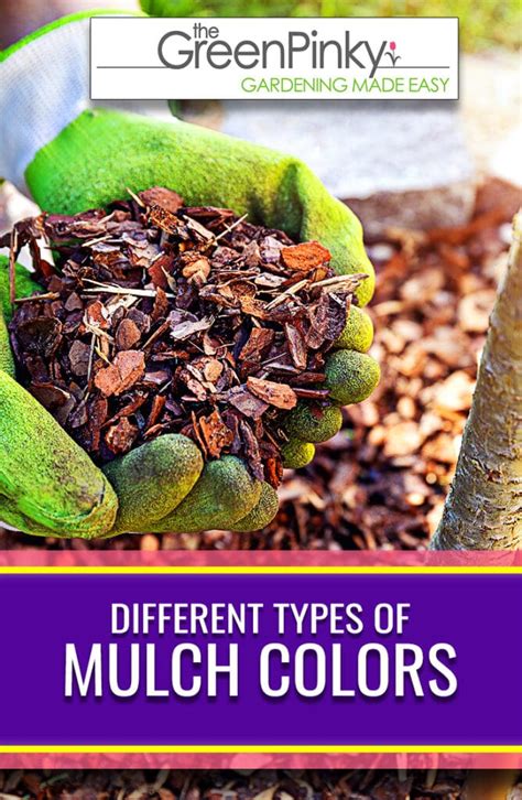 Different Colored Mulches — What To Consider
