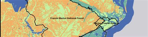 Usfs Climate Gallery Francis Marion National Forest Adapting To