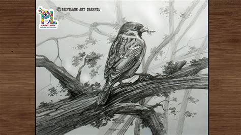 Pencil Sketching And Shading Sparrow Bird Step By Step Art How To