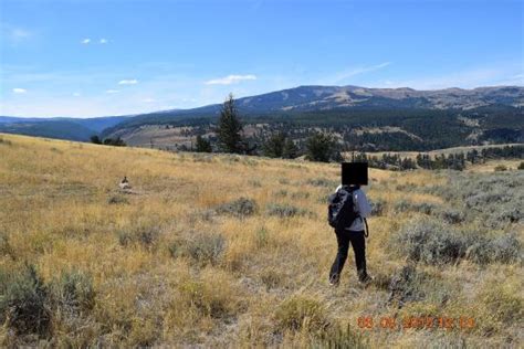 Specimen Ridge Yellowstone National Park 2021 All You Need To Know
