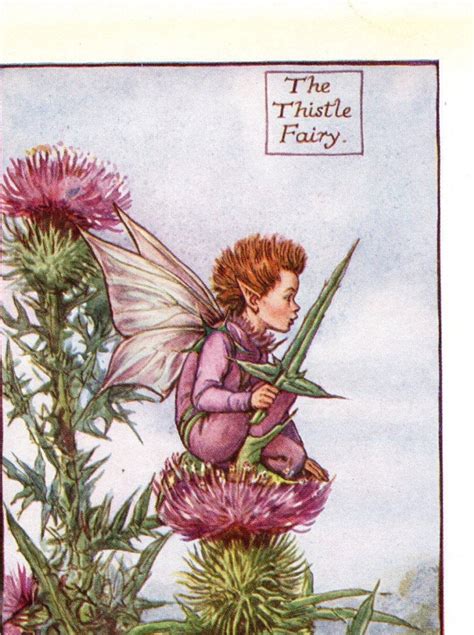 1950 Cicely Mary Barker Flower Fairies Of The Summer The Etsy