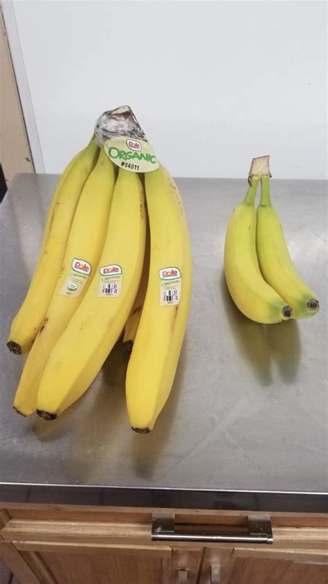 These Giant Organic Bananas That Were Delivered To The Grocery Store