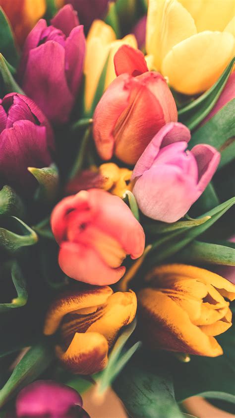 12 Pretty Springtime Iphone Wallpapers Preppy Wallpapers