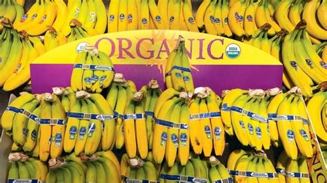 Organic Bananas Ripe For Growth Produce Business