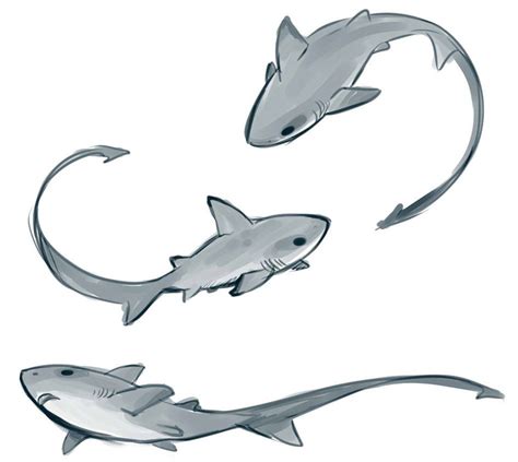 Threshers Shark Art Animal Drawings Art