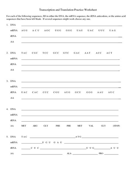 Intro to gene expression (central dogma) Transcription and translation practice worksheet-1 ...