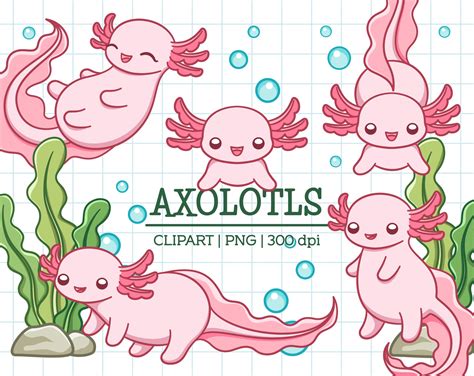 Premium Vector Clipart Kawaii Axolotls Cute Axolotl Etsy Denmark Images