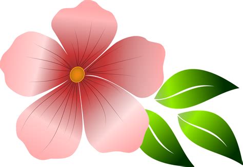 Bunga Merah Muda Musim Semi Gambar Vektor Gratis Di Pixabay Pixabay