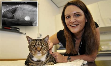 Ageing tends to speed it up while regular exercise tends to slow it down. Shady the cat gets his own life-saving PACEMAKER to battle ...