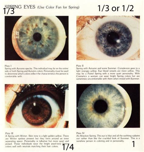 Expressing Your Truth Blog Eye Types And Iridology Цвет глаз Глаза