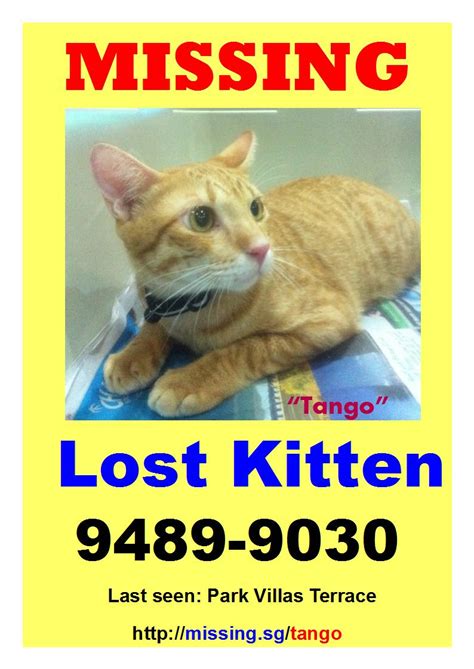 This is not the complete list of missing cats, to further narrow down your search, please perform an advanced pet search. Singapore Community Cats: Missing ginger cat at Last Seen ...