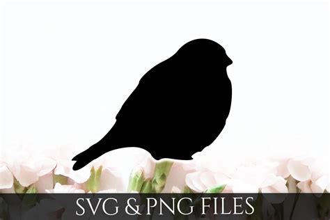 Bird Svg And Png File 82138 Svgs Design Bundles