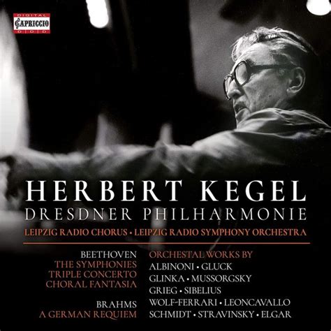 Les Meilleures Interprétations Des Symphonies De Beethoven - Beethoven (1770-1827) Les Symphonies. Herbert Kegel. | Le Parnasse Musical