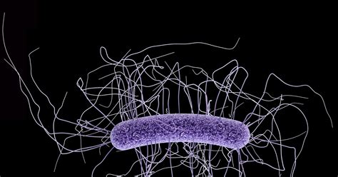 9 Amazing And Gross Things Scientists Discovered About Microbes This