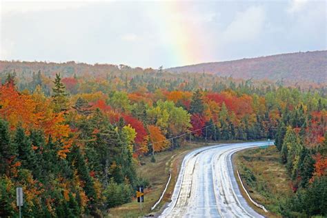 Where To Go To See Stunning Fall Foliage In Canada