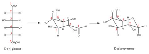 (13 de marzo de 2018). The anomeric carbon in D+glucose is A C1 carbon B C2 class ...
