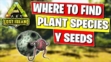 Where To Find Plant Species Y Seeds On The Lost Island Youtube