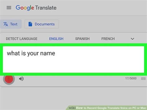 How to record on google voice. How to Record Google Translate Voice on PC or Mac: 8 Steps