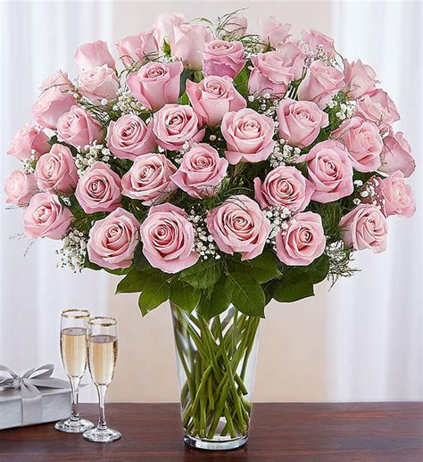 Ultimate Elegance Premium Long Stem Pink Roses