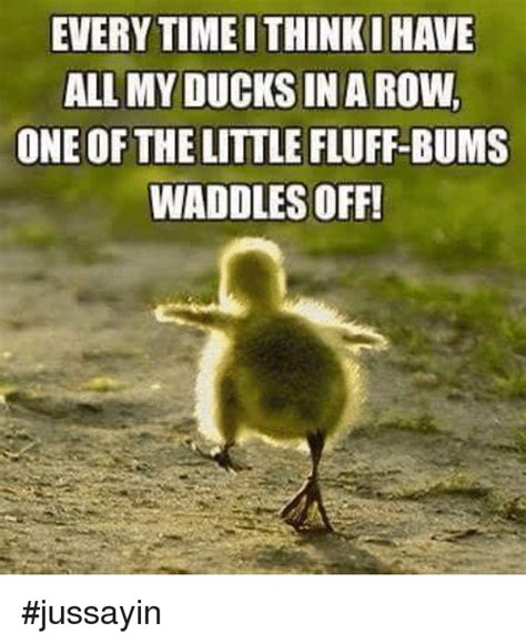 35 Duck Memes That Will Make You Quack All Day Duck Memes Funny Quotes Funny Pictures