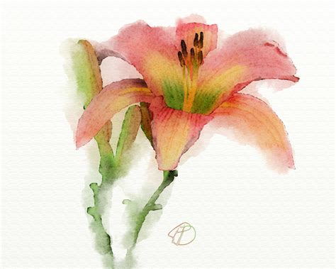 A Watercolor Painting Of A Pink Flower