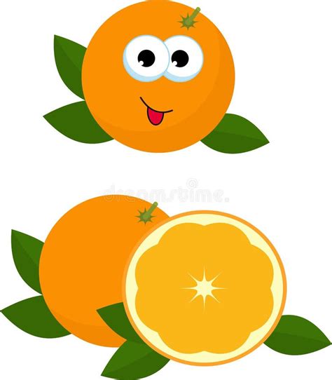 Orange Whole And Slice Of Orange With Orange Leaves Vector