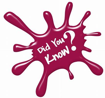Clipart Fun Facts Fact Amazing Knew Freeuse