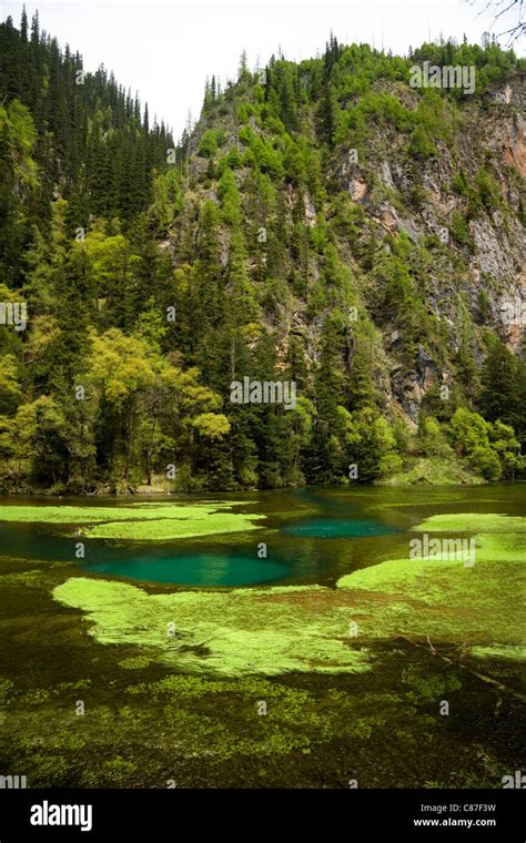 Clear And Blue Water Lakes Lake Pond Ponds And Famous Landscape In