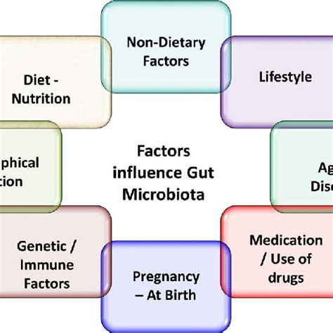 General Functions Carried Out By Gut Microbiota Download Scientific