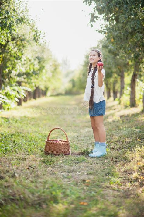 Girl With Apple In The Apple Orchard Stock Photo Image Of Countryside