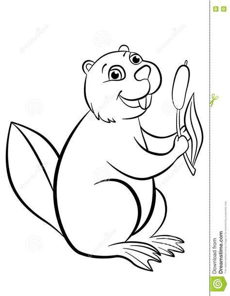 Coloring Pages Animals Little Cute Beaver Stock Vector