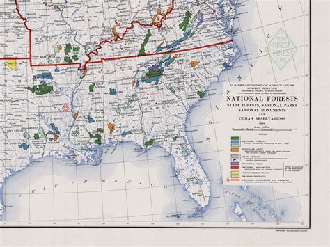 Vintage Map Of Us National Forests State Forests National Etsy