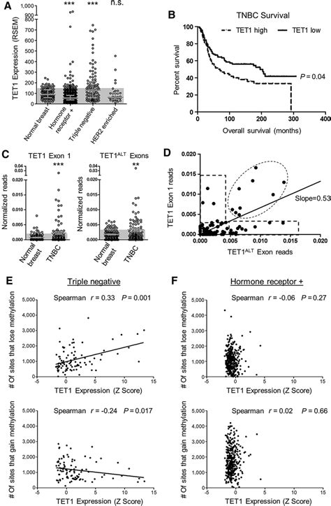 Tet1 Overexpression Is Associated With Hypomethylation A Tet1