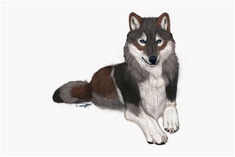 Discover More Than 70 Pictures Of Anime Wolves Best Induhocakina