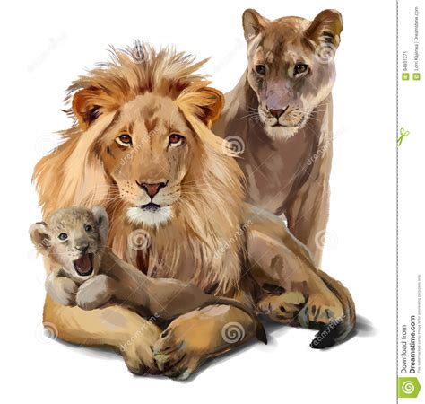 Lion Pride Stock Illustration Illustration Of Feline 94931271