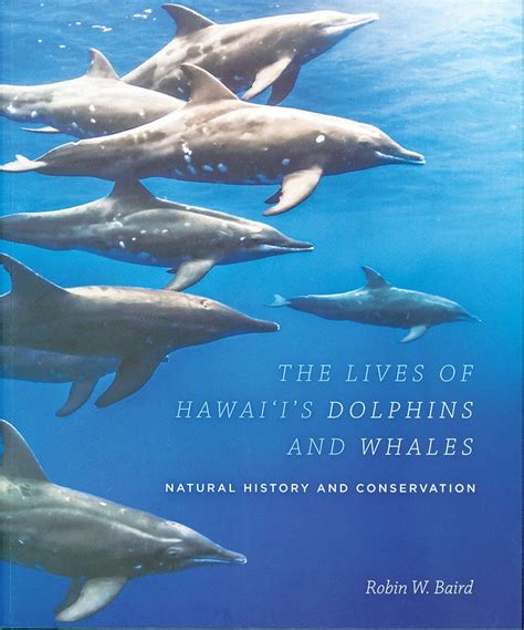 The Lives Of Hawaiis Dolphins And Whales