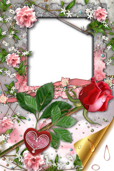 Transparent Romantic Frame With Rose And Heart Gallery Yopriceville