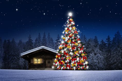 Decorated Large Christmas Tree