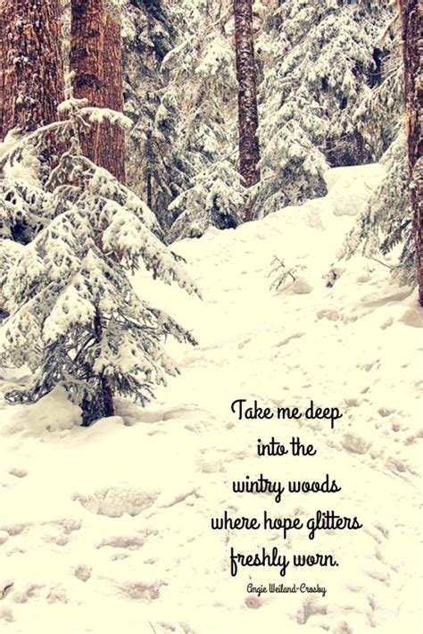 Winter Quote With A Snow Laced Forest Quotes Winter Snow Forest Hope