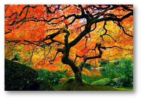 From there it was separated into four headwaters. Contemplatives in the World: Lecture Two: The Second ...