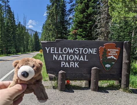 20220723195100232 Northeast Entrance Yellowstone National Flickr
