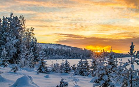Winter Sunset Mountain Landscape Snow Forest Sweden Hd Wallpaper