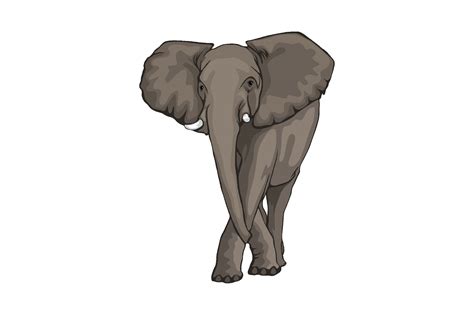 Elephant Illustrations Graphic By Graphicrun123 · Creative Fabrica