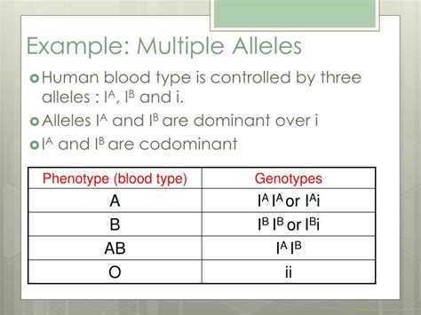 PPT Genetics Multiple Alleles PowerPoint Presentation ID 2326000